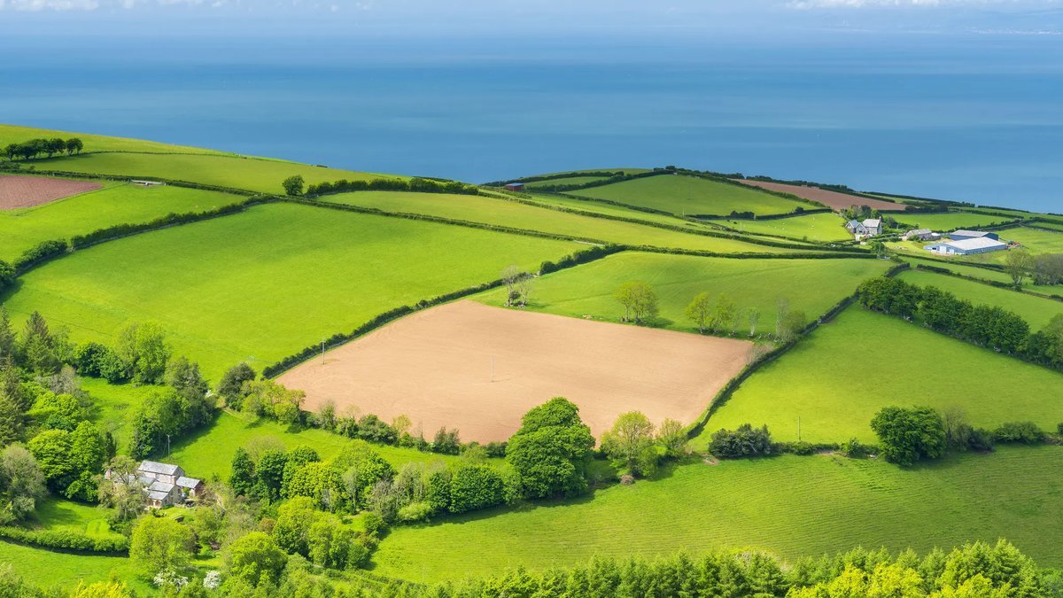 Green Countryside